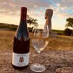 The Hampton Hock's - Wellness & Wine Freinsheim