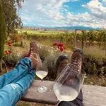 Appart hôtel The Hampton Hock's - Wellness & Wine 4*