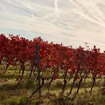 The Hampton Hock's - Wellness & Wine Appart hôtel