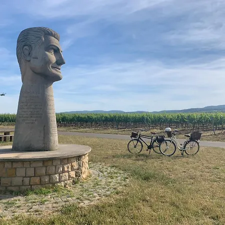 Apart Otel The Hampton Hock's - Wellness & Wine 4*