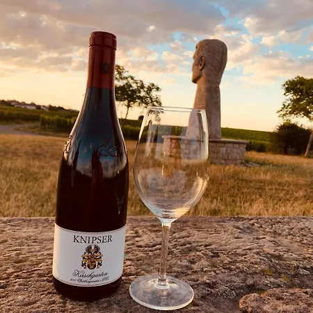 The Hampton Hock's - Wellness & Wine Freinsheim