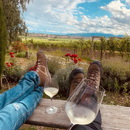 Апарт-отель The Hampton Hock's - Wellness & Wine *