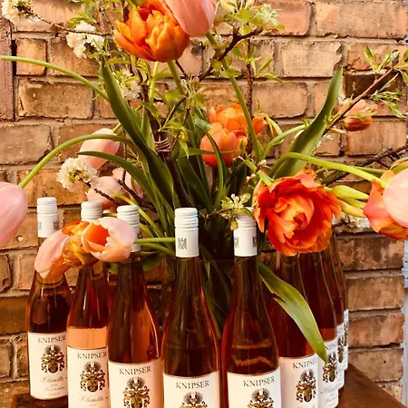 Apart Otel The Hampton Hock's - Wellness & Wine 4*