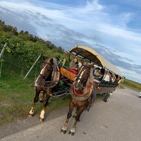 The Hampton Hock's - Wellness & Wine 4* Freinsheim