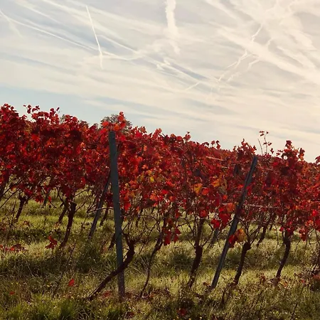 The Hampton Hock's - Wellness & Wine Aparthotel