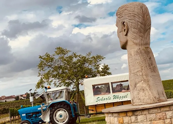 The Hampton Hock's - Wellness & Wine Lejlighedshotel 4*