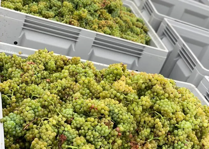 The Hampton Hock's - Wellness & Wine Lejlighedshotel