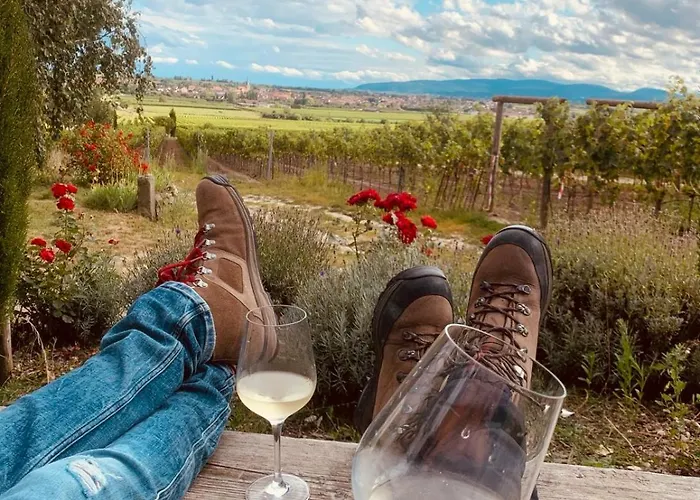 Lejlighedshotel The Hampton Hock's - Wellness & Wine 4*