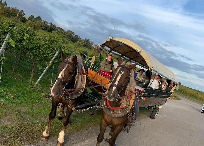 The Hampton Hock's - Wellness & Wine 4* Freinsheim