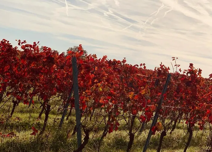 The Hampton Hock's - Wellness & Wine Lejlighedshotel